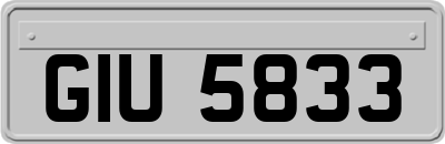 GIU5833