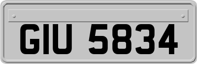 GIU5834