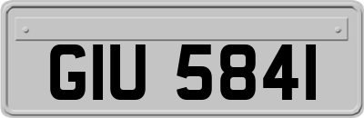 GIU5841