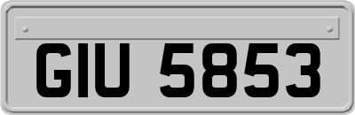 GIU5853