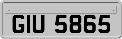 GIU5865