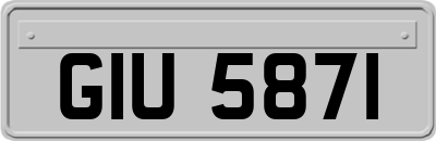 GIU5871
