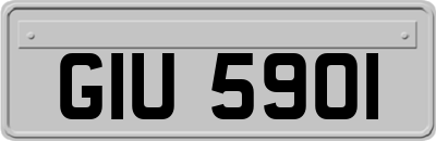 GIU5901