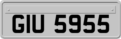 GIU5955