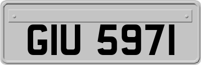 GIU5971