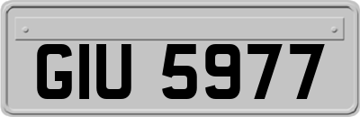 GIU5977