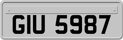 GIU5987