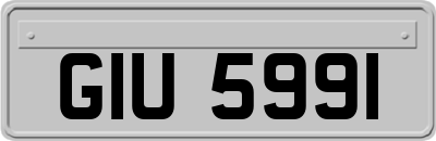 GIU5991