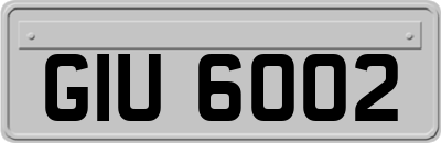 GIU6002