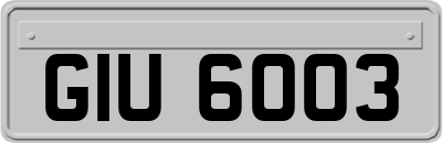 GIU6003