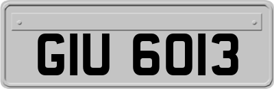 GIU6013