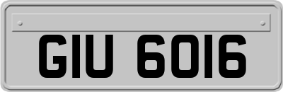 GIU6016