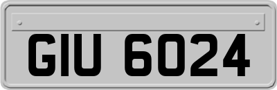GIU6024