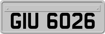 GIU6026