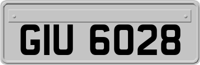GIU6028