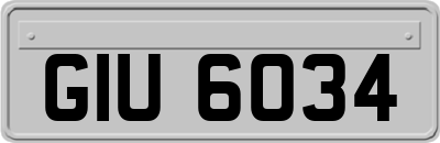 GIU6034
