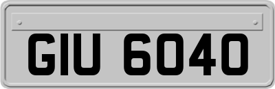 GIU6040