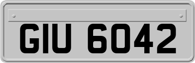 GIU6042