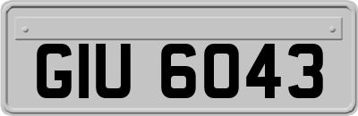 GIU6043