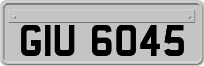 GIU6045