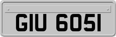 GIU6051