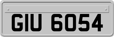 GIU6054