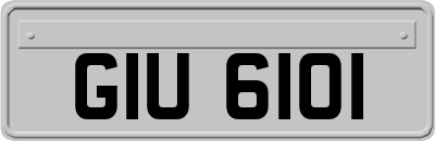 GIU6101