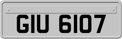 GIU6107