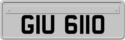 GIU6110