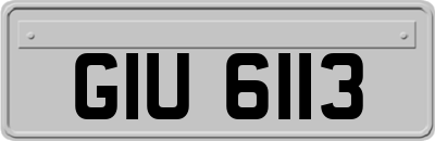 GIU6113