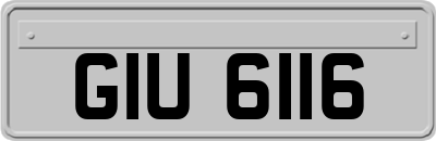 GIU6116