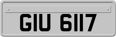 GIU6117