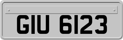 GIU6123