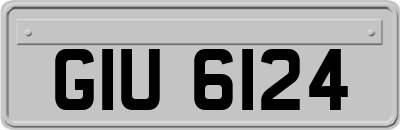 GIU6124