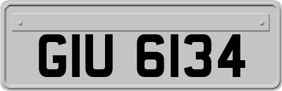 GIU6134