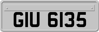 GIU6135