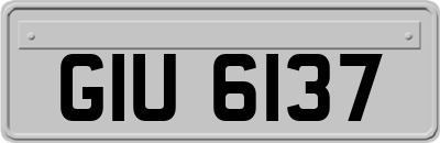 GIU6137