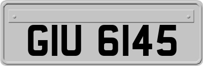 GIU6145