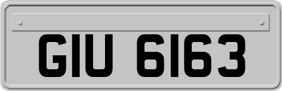 GIU6163