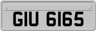 GIU6165