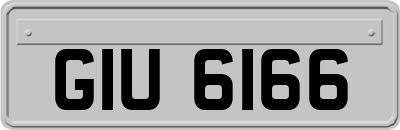 GIU6166
