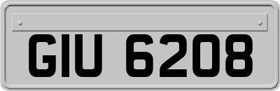 GIU6208