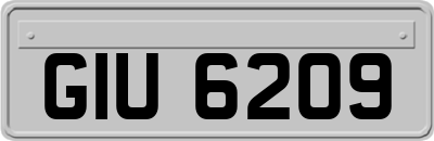 GIU6209