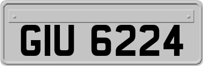 GIU6224