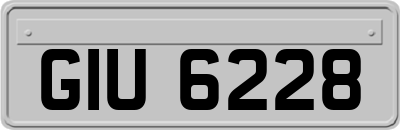 GIU6228