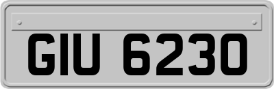GIU6230