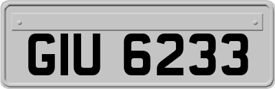 GIU6233