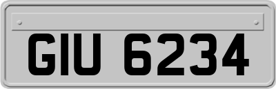 GIU6234