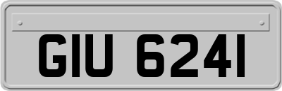 GIU6241