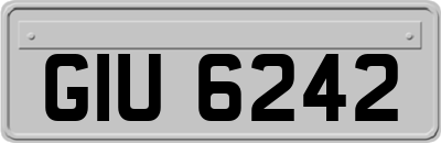 GIU6242
